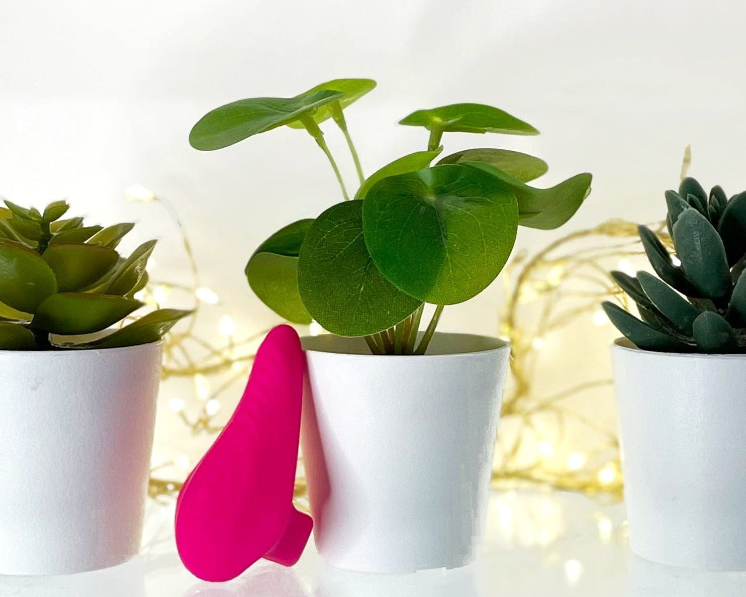 A bright pink silicone finger vibrator leaning against white pot holding a round green plant, styled with two other white pots on a reflective white surface with warm fairy lights in the background.