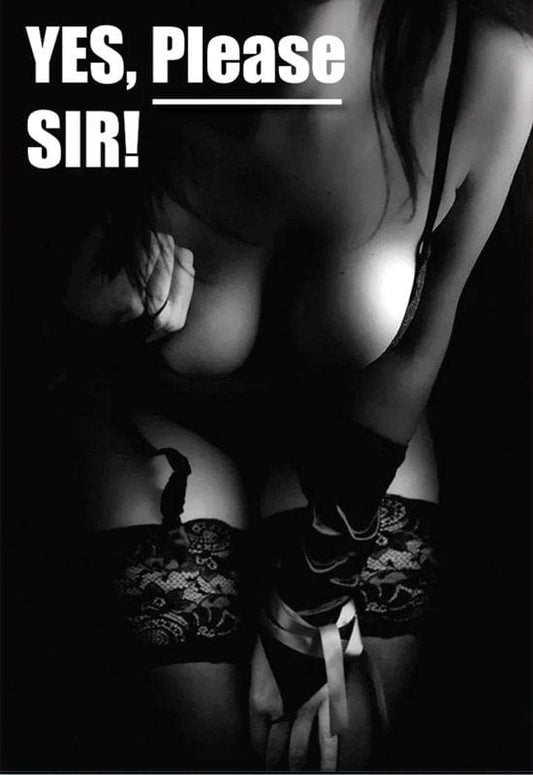 Kinky Magnet Yes Please Sir - Sh! Women's Store