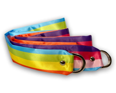 Sh! Women's Store Pride Sh! Pride Rainbow Satin Bondage Ties