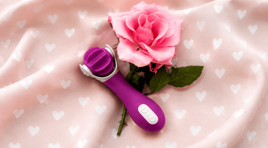 Review: Wheel of Pleasure Licking Vibrator - Sh! women’s store 