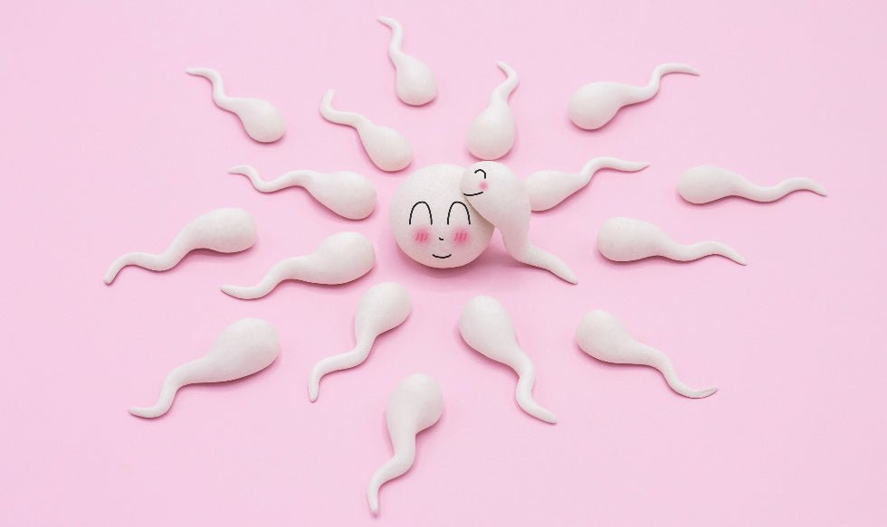 Guest Post: Conception without Penetration - Sh! Women's Store