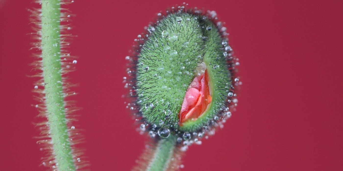 How to find and pleasure the G-Spot - Sh! Women's Store