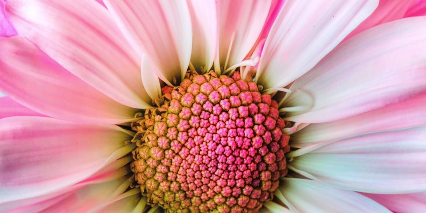 How to Find your G-Spot & Have a G-Spot Orgasm - Sh! Women's Store