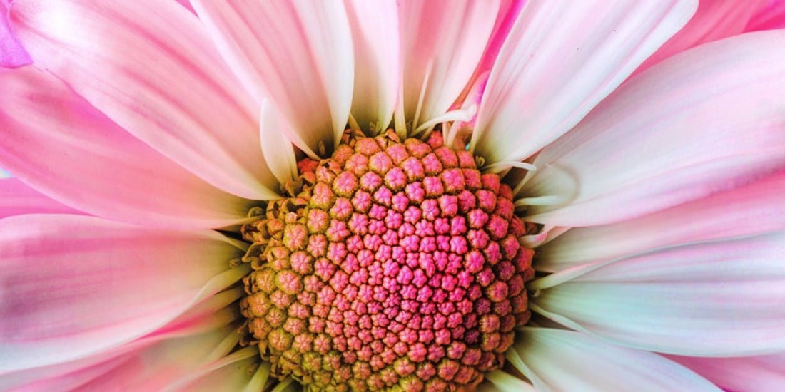 How to Find your G-Spot & Have a G-Spot Orgasm - Sh! Women's Store