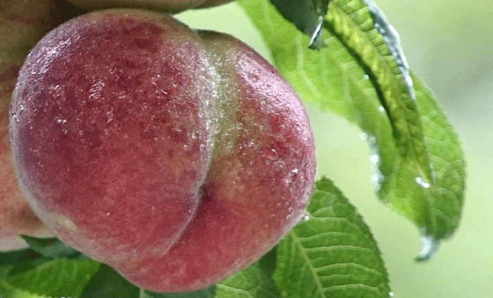 Lube for Anal Sex - Sh! Women's Store