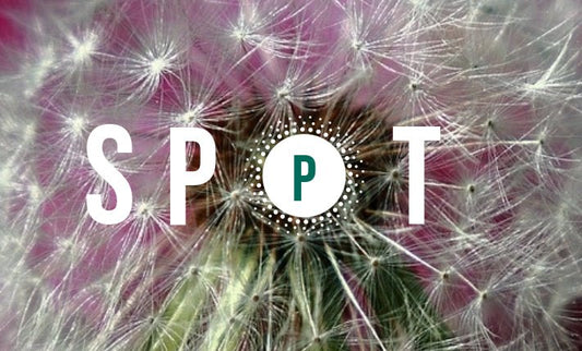 Male G-Spot & Erotic Prostate Massage - Sh! Women's Store