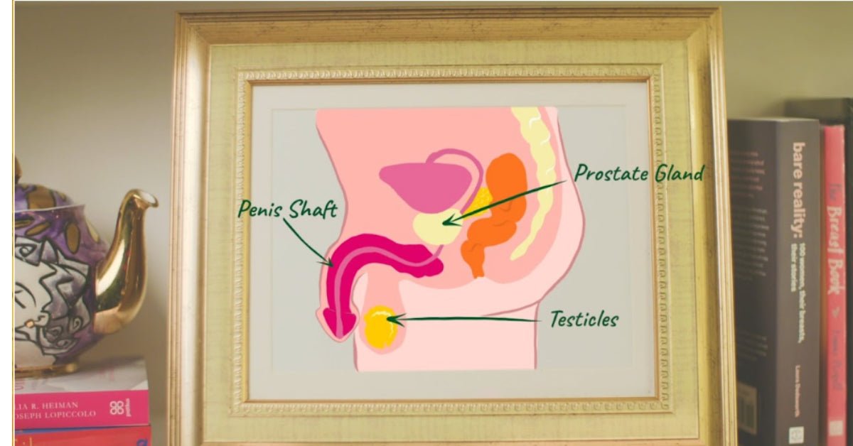 Prostate Awareness for Pleasure and Health - Sh! Women's Store