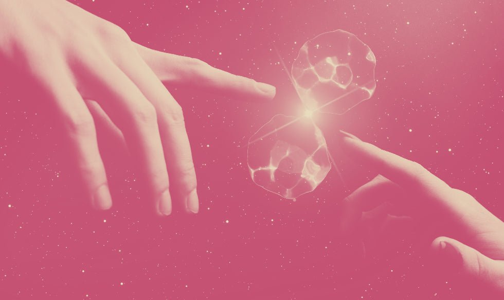 Q&A - Cracking the Mystery: Is it Safe to Insert an Egg into the Anus? - Sh! Women's Store