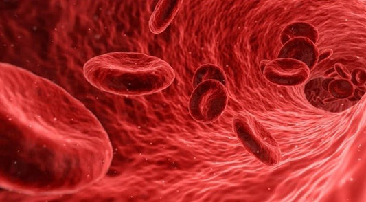 Q&A: Period Sex - Sh! Women's Store