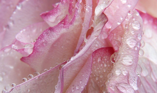 Q&A: Which Lube is Best for Menopausal Me? - Sh! Women's Store