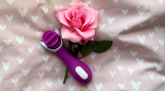 Review: Wheel of Pleasure Licking Vibrator - Sh! Women's Store