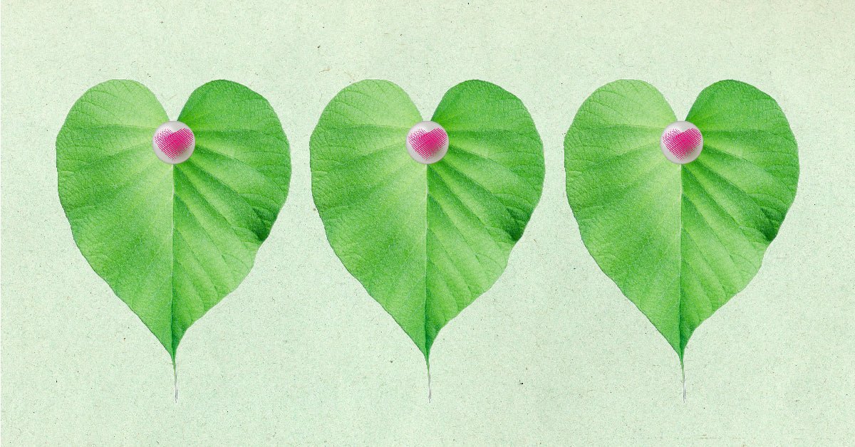 The Best Vegan Sex Toys - Sh! Women's Store