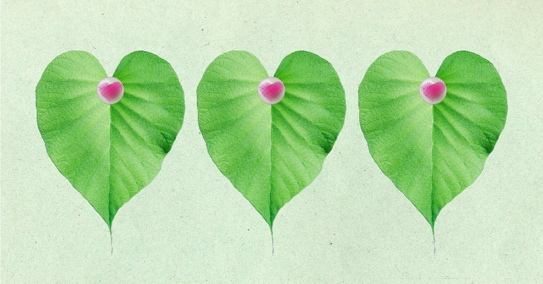 The Best Vegan Sex Toys - Sh! Women's Store