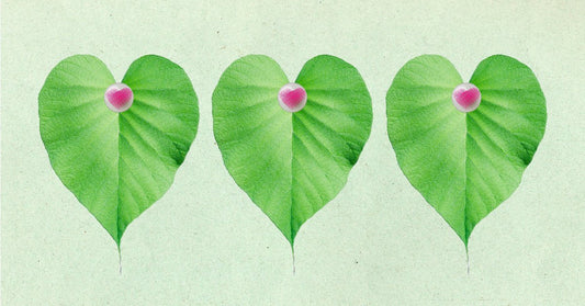 The Best Vegan Sex Toys - Sh! Women's Store