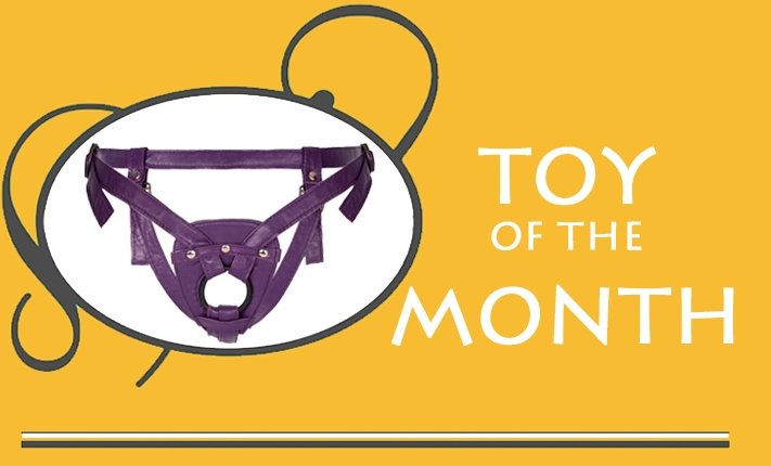 Toy of the Month: Sh! Harness - Sh! Women's Store