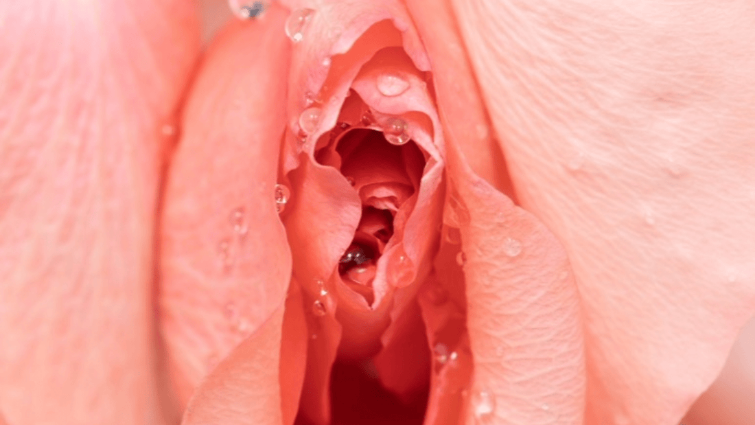 Would You Get Labiaplasty? Our Survey Results Are In! - Sh! Women's Store