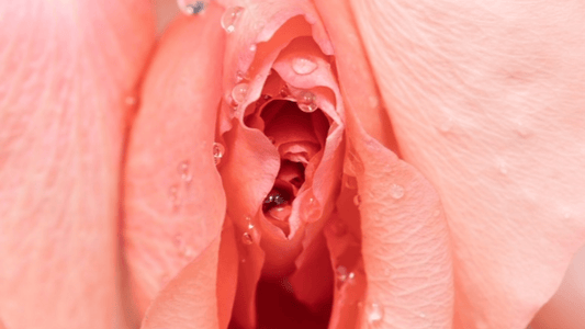 Would You Get Labiaplasty? Our Survey Results Are In! - Sh! Women's Store