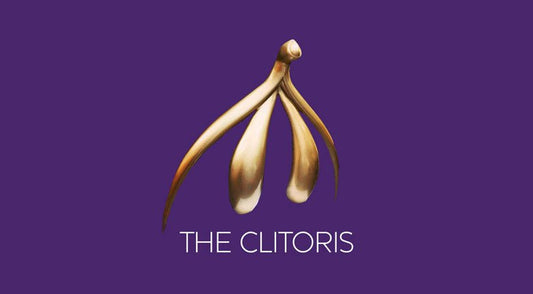 Your Clitoris & How to Pleasure It - Sh! Women's Store