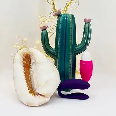 Couples Sex Toys