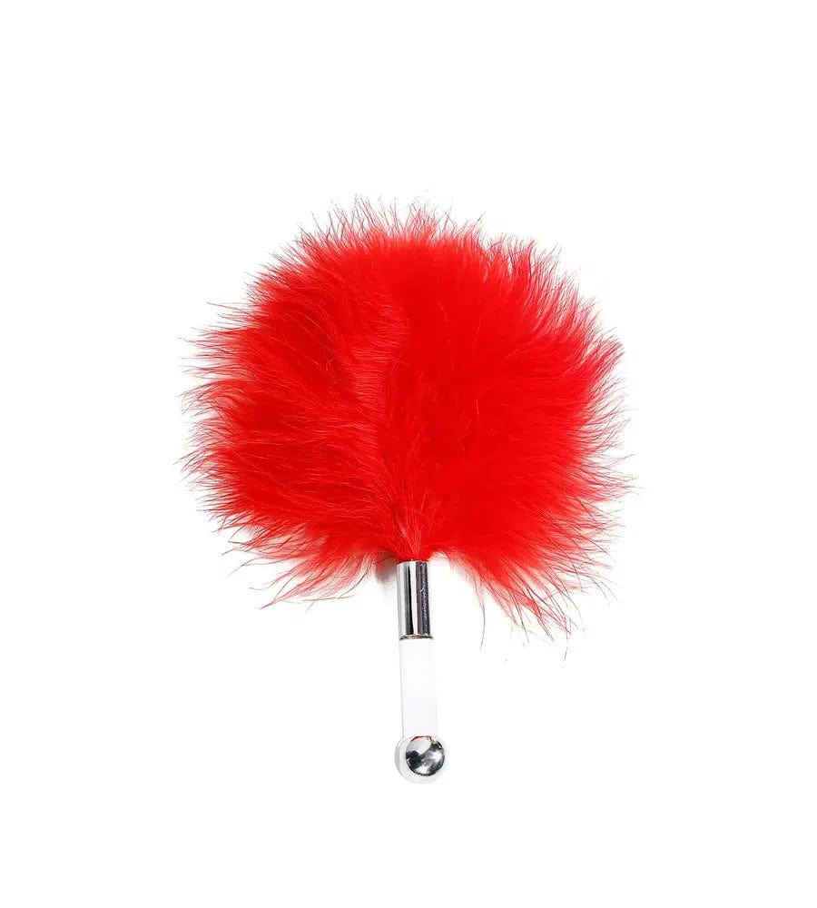 Amour Secrets of Love Panty Play Kit - Sh! Women's Store