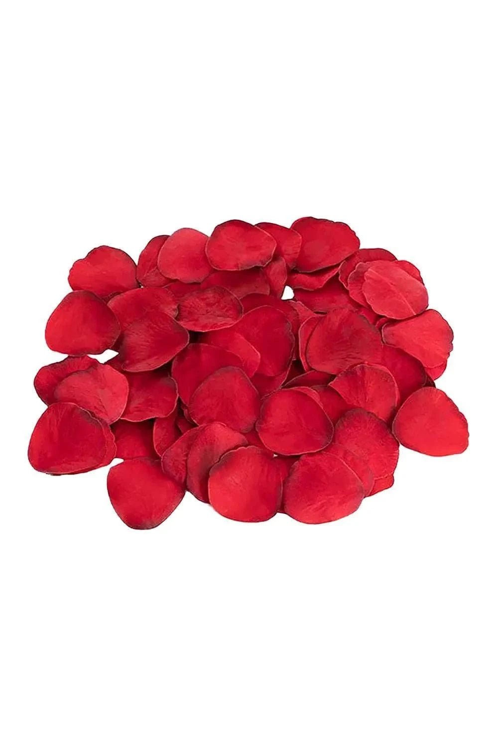 Amour Secrets of Love Panty Play Kit - Sh! Women's Store