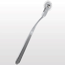 BDSM Wartenberg Pinwheel - Sh! Women's Store