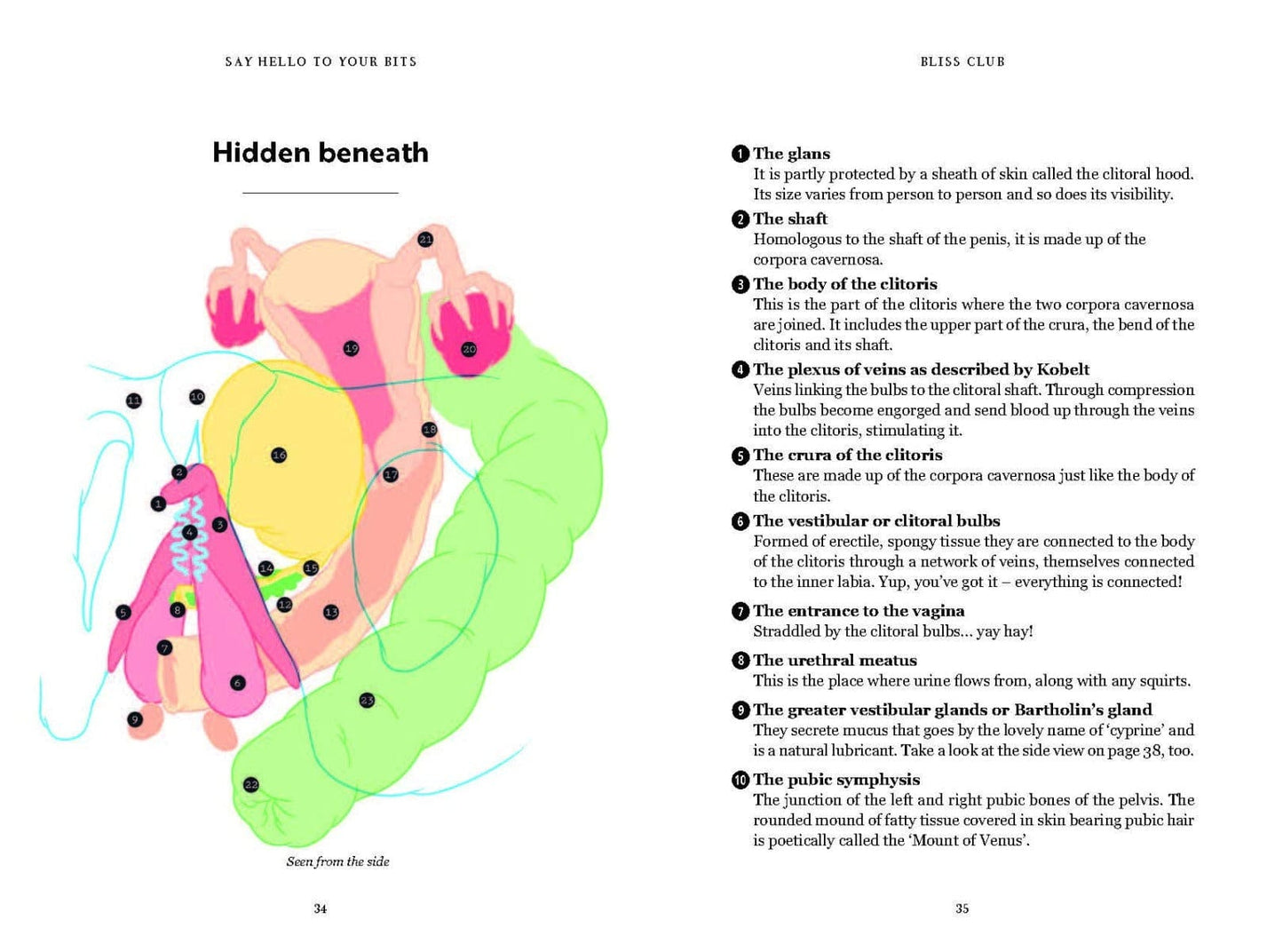 Bliss Club: Sex Tips for Creative Lovers DISCONTINUED - Sh! Women's Store