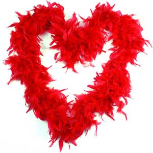 Deluxe Feather Boa DISCONTINUED - Sh! Women's Store