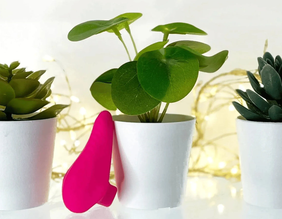 


A bright pink silicone finger vibrator resting on the front of a small white planter with a green heart-shaped plant, flanked by two other white pots with succulents against a softly blurred warm background.