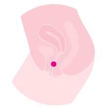 Sh! Women's Store Kegal Balls Intimina Laselle Weighted Exerciser