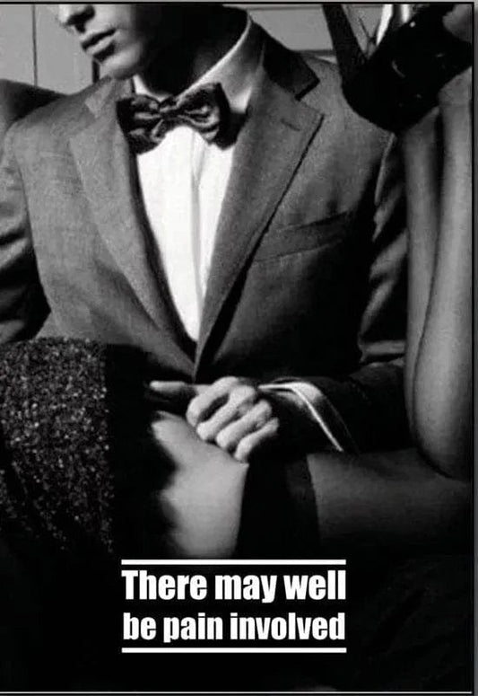 Kinky Magnet: There Will Be Pain Involved - Sh! Women's Store