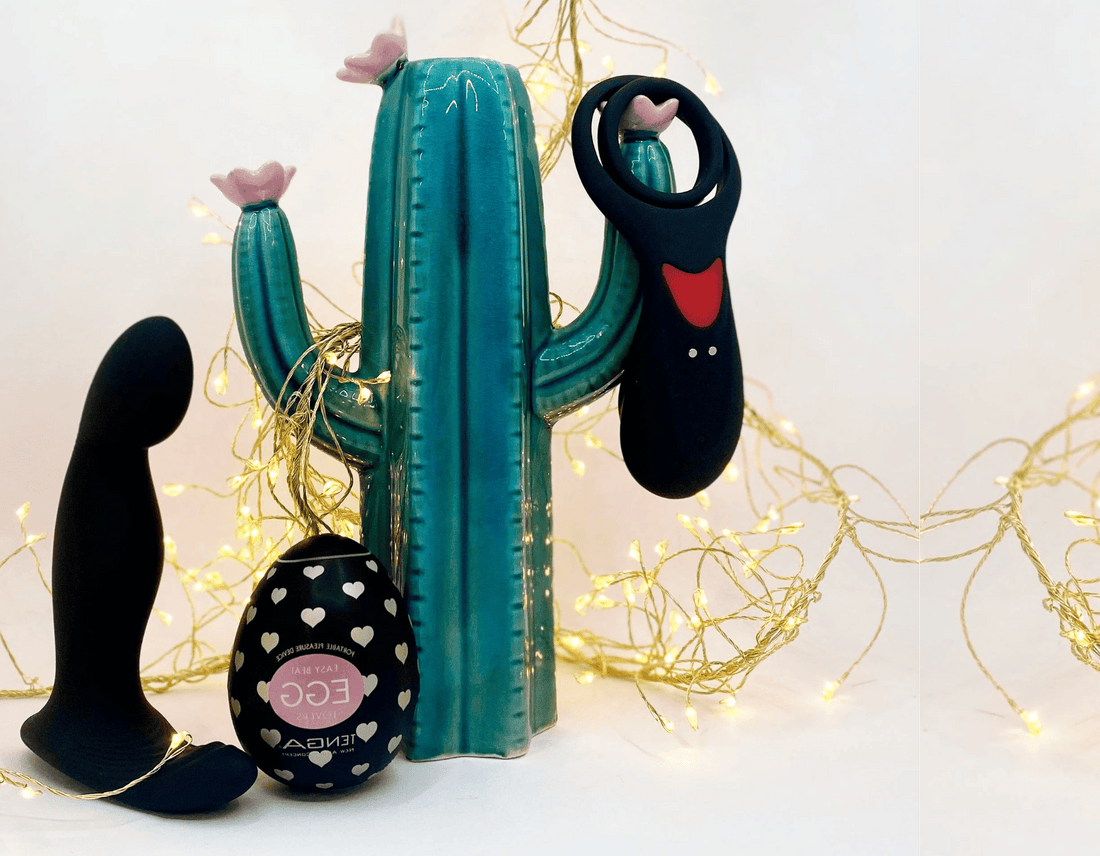 Men's sex toy set featuring a black curved prostate massager, a tenga egg, and a black cock-ring, arranged around a green cactus figurine with warm fairy lights on a white background.