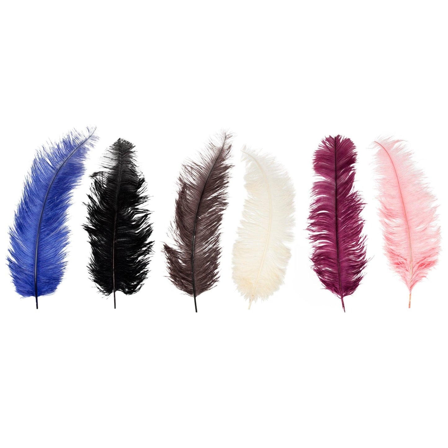 Ostrich Feather DISCONTINUED - Sh! Women's Store