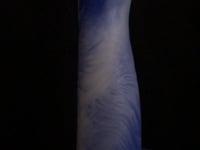 Honey 2 G-Spot Dildo