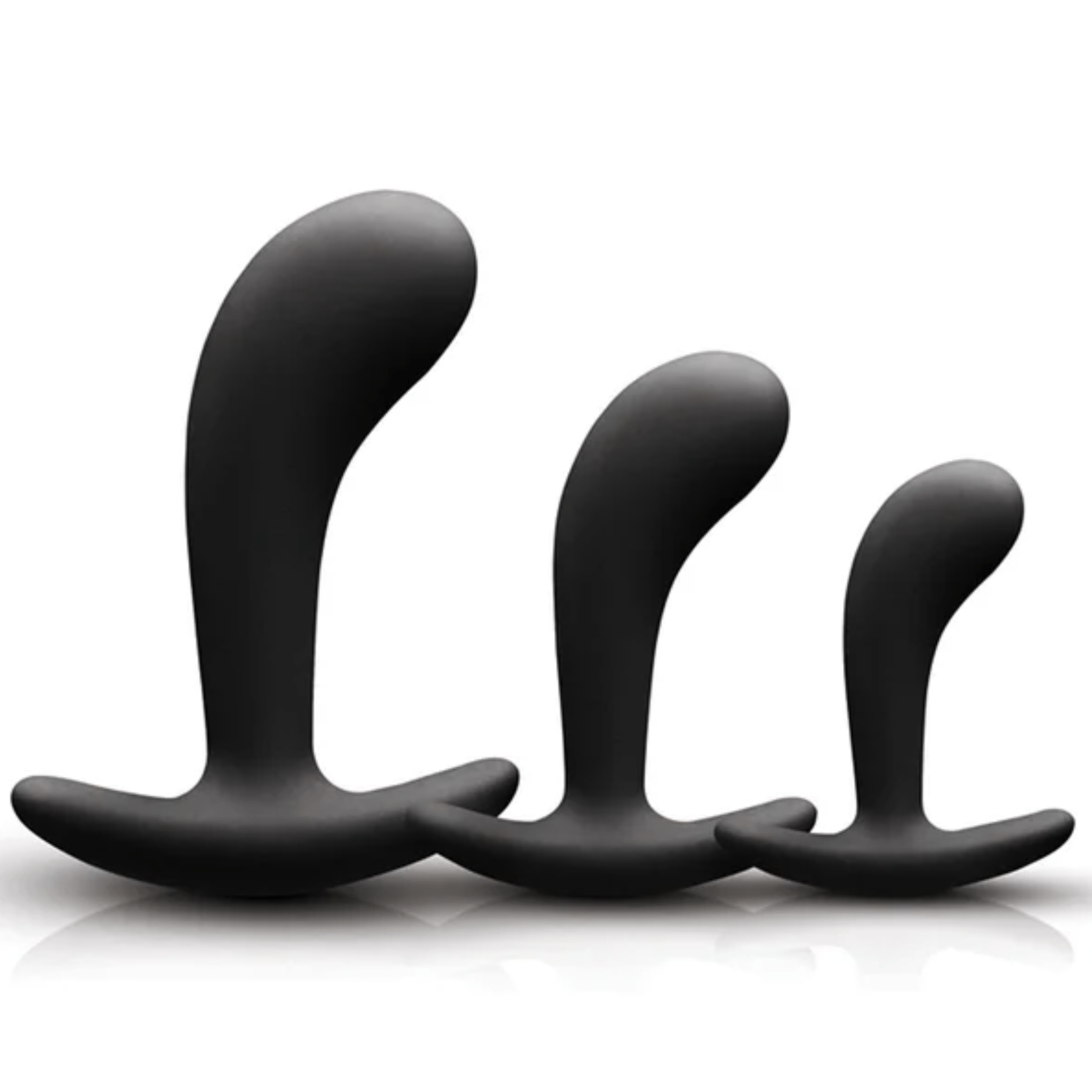 Sh! Women's Store Anal Kit Renegade P-Spot Anal Training Kit