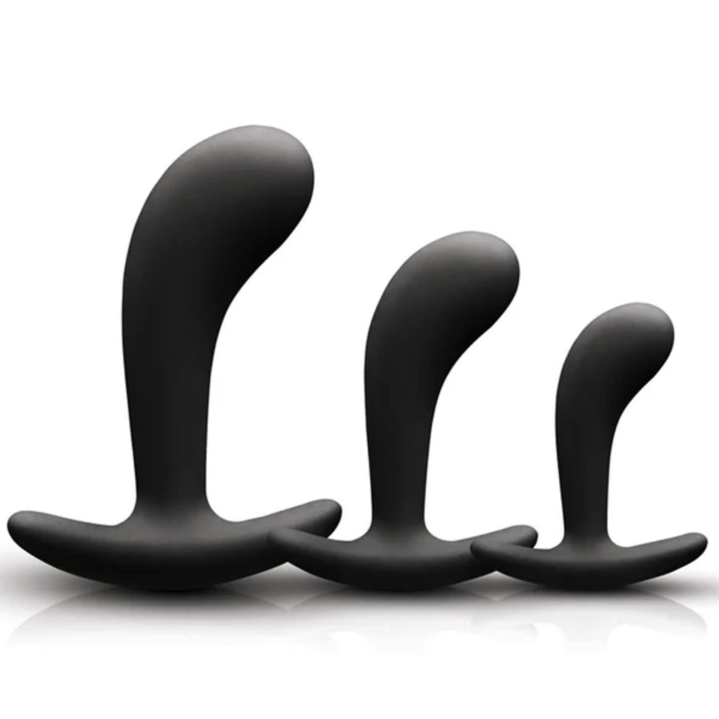 Sh! Women's Store Anal Kit Renegade P-Spot Anal Training Kit