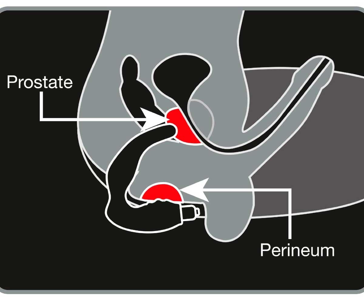 Rocks Off Naughty Boy Prostate Massager - Sh! Women's Store