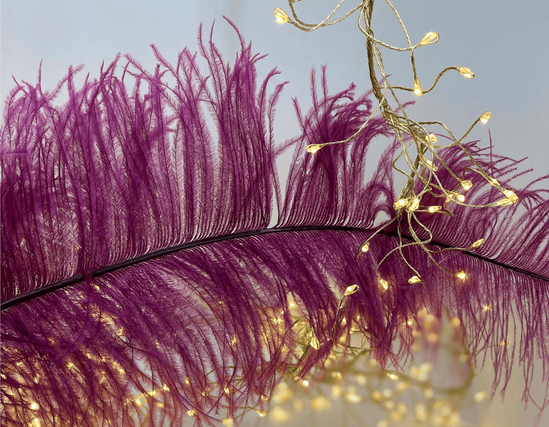 A close-up of a large purple feather with warm white string lights draped across it against a soft blue-gray background.