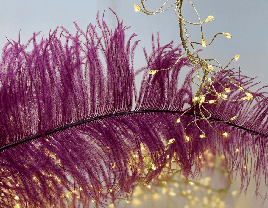 A close-up of a large purple feather with warm white string lights draped across it against a soft blue-gray background.