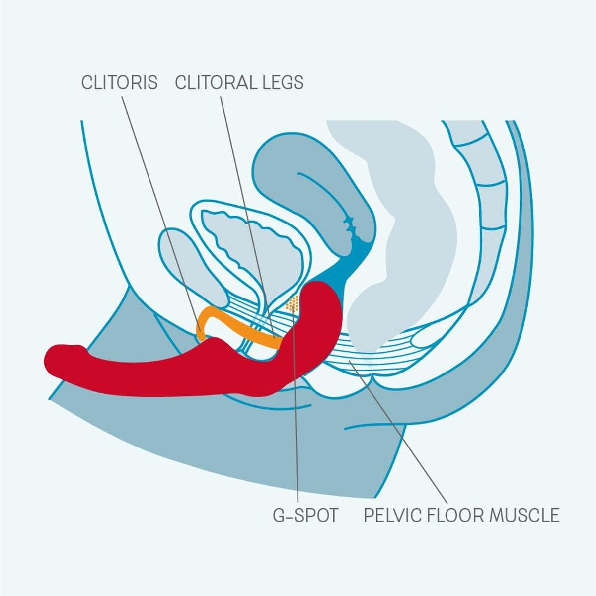 Share Strapless Double Dildo - Sh! Women's Store