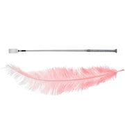 Slap & Tickle Crop & Feather Kit DISCONTINUED - Sh! Women's Store