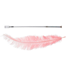 Slap & Tickle Crop & Feather Kit DISCONTINUED - Sh! Women's Store