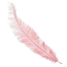 Slap & Tickle Crop & Feather Kit DISCONTINUED - Sh! Women's Store