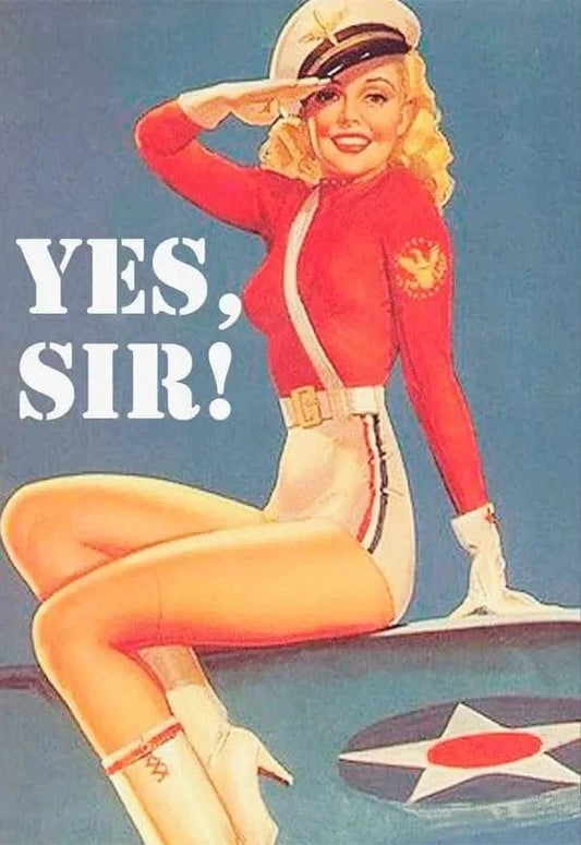 Vintage Magnet: Yes Sir - Sh! Women's Store