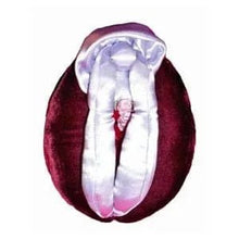 Vulva Puppet DISCONTINUED - Sh! Women's Store